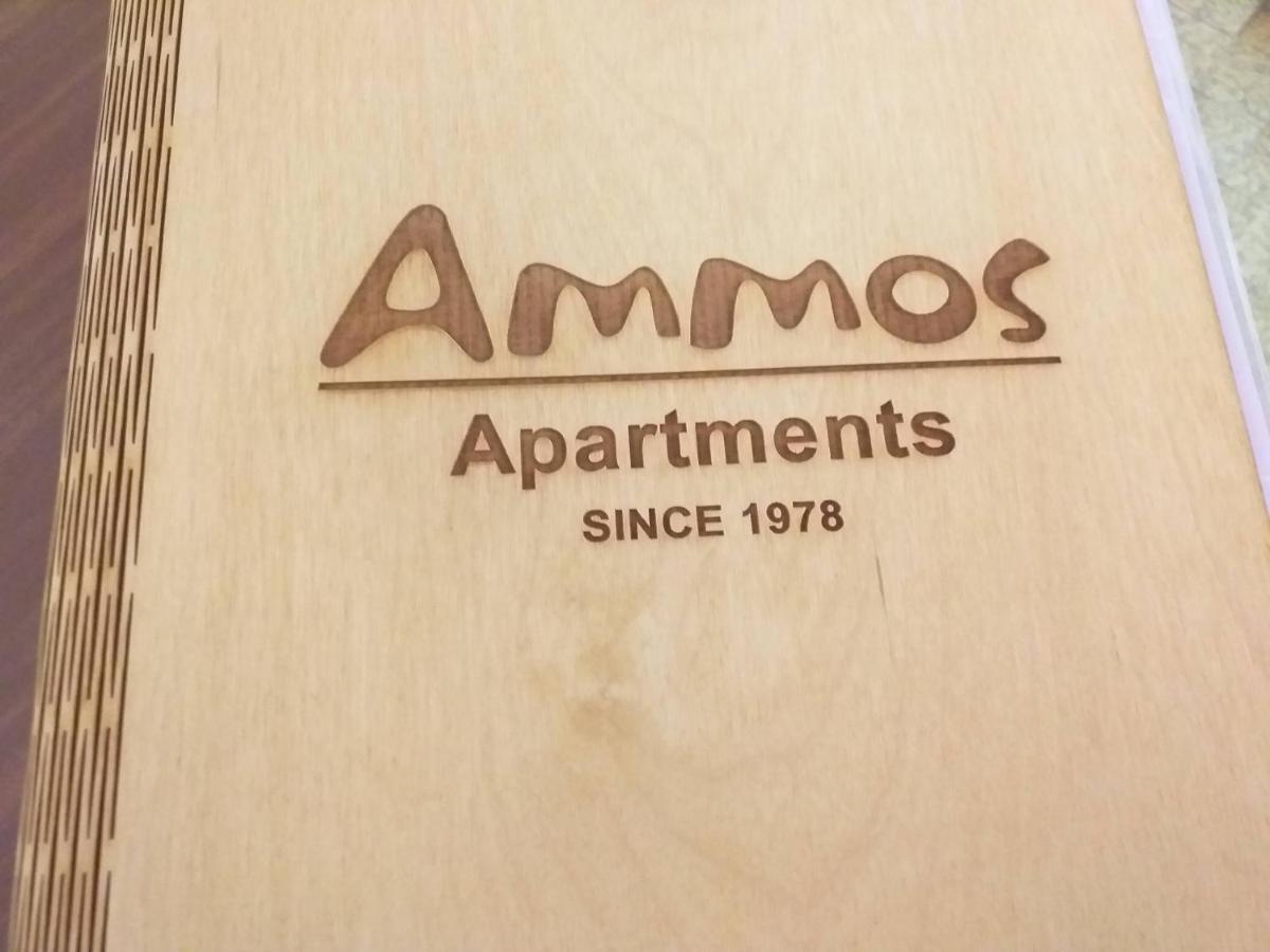 Ammos Apartments Ágios Nikólaos Exterior foto